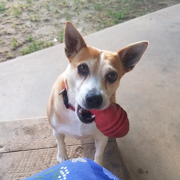 Meet your Posher, Nikki - Picture 3 of 6